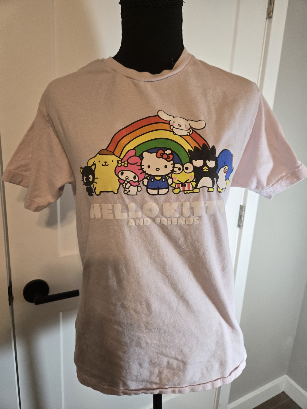 Sanrio Hello Kitty And Friends Rainbow Baby Pink Graphic Tee M